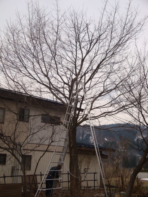 e0175905_21315813.jpg