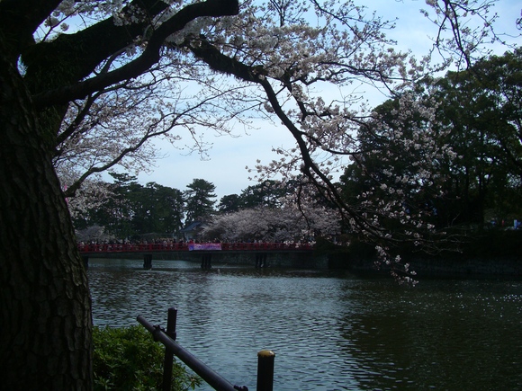 c0110906_1335580.jpg