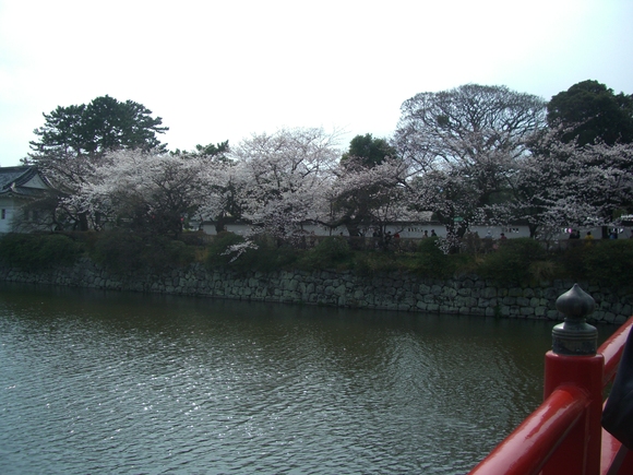 c0110906_1344916.jpg