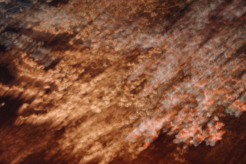 c0158407_21225175.jpg
