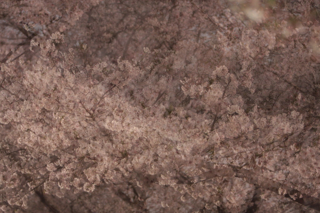 c0158407_21235679.jpg