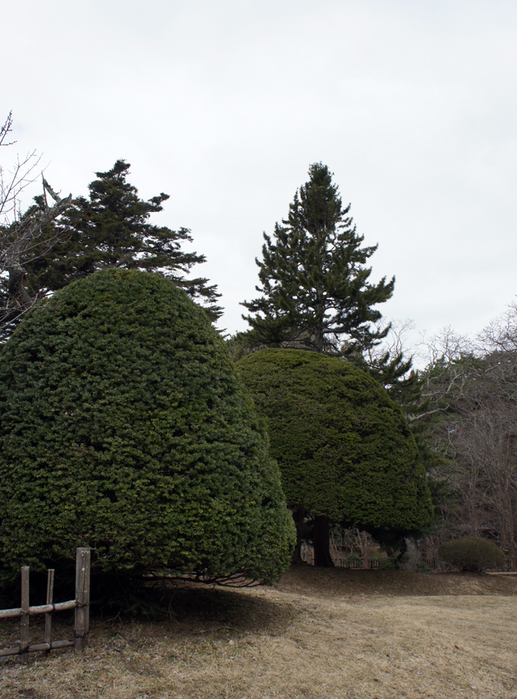 f0160407_45801.jpg