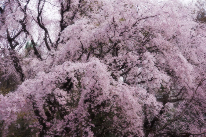 a0263109_13583931.jpg