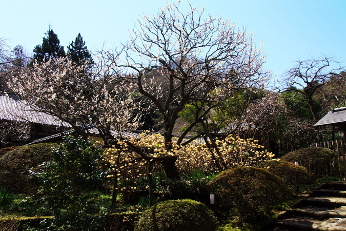 a0263109_2083981.jpg