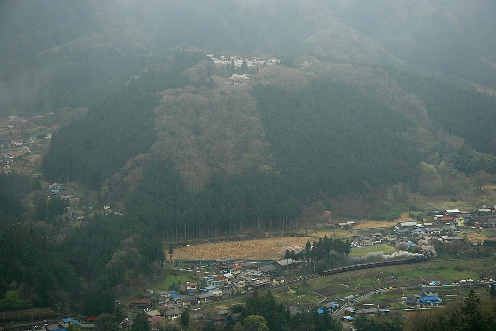 桜咲く山 - 2012年・秩父ファーストラン -_b0190710_2215611.jpg