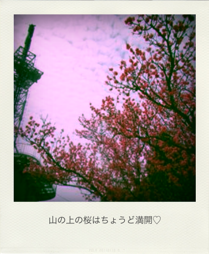 b0183911_22145870.png