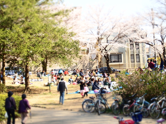 c0226911_8595244.jpg