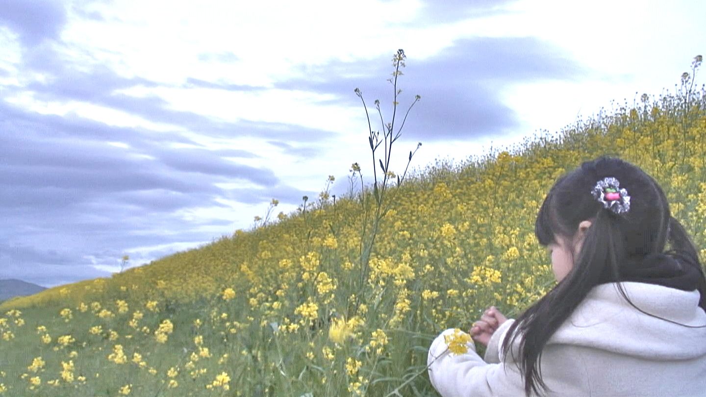 4/21(土) 三島江へ『菜の花』と『レンゲ』を見に行って来ました〜_a0059812_21122876.jpg