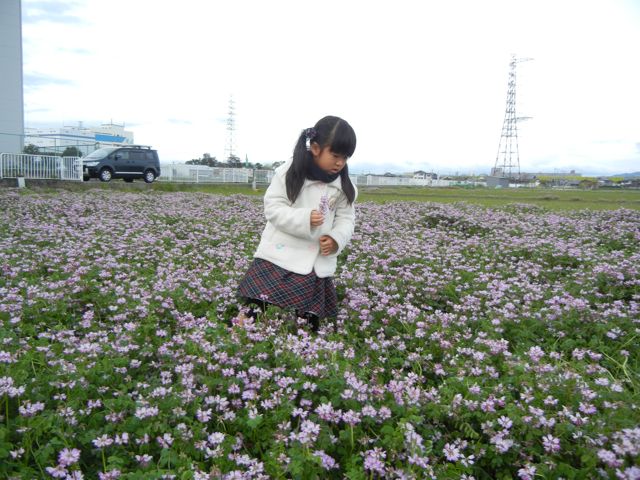 4/21(土) 三島江へ『菜の花』と『レンゲ』を見に行って来ました〜_a0059812_2117941.jpg