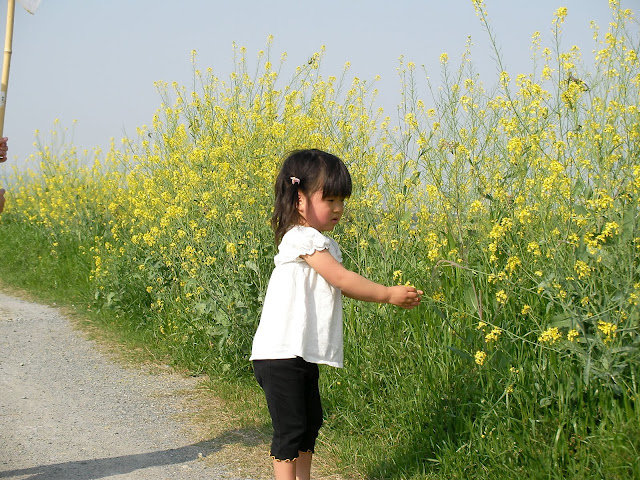 4/21(土) 三島江へ『菜の花』と『レンゲ』を見に行って来ました〜_a0059812_2153542.jpg