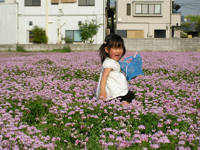 4/21(土) 三島江へ『菜の花』と『レンゲ』を見に行って来ました〜_a0059812_22223791.jpg