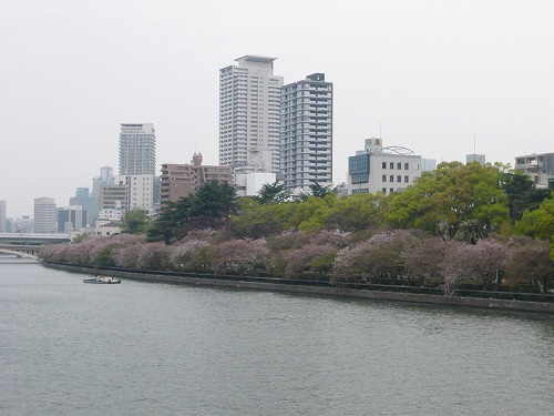 造幣局－桜の通り抜け－_f0223914_1193671.jpg