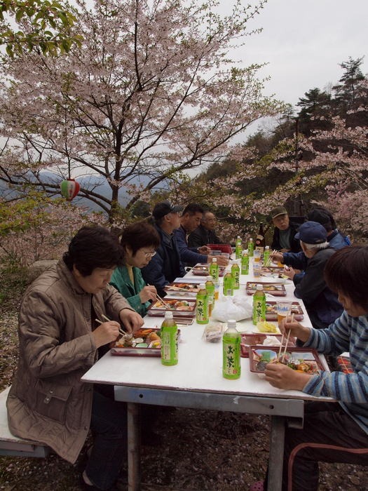 地区のお花見_c0116915_022854.jpg