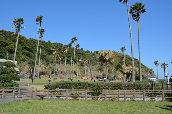 a0201316_22543222.jpg