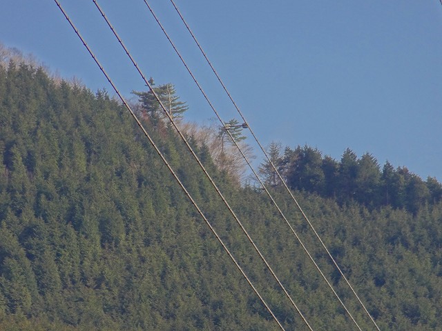 a0243317_14325344.jpg