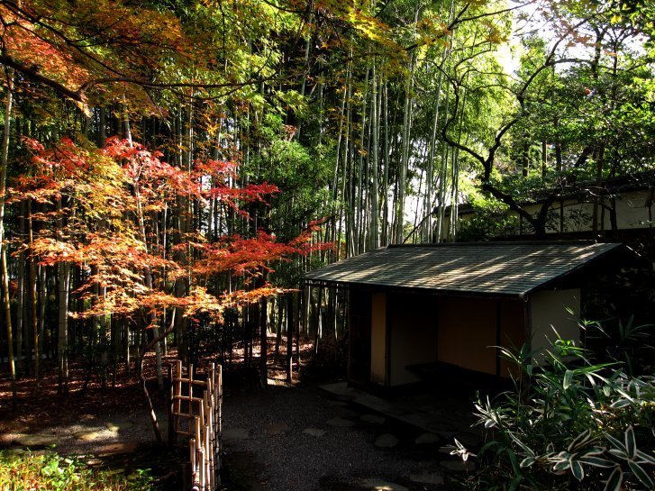 京都・奈良錦秋編(12)：松花堂庭園(10.12)_c0051620_5541839.jpg