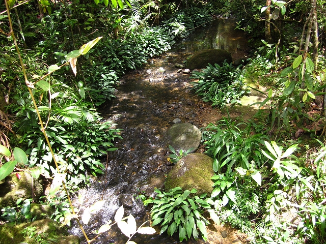 f0203324_160297.jpg