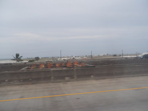 b0121425_17432440.jpg