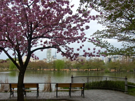 f0108825_14312590.jpg