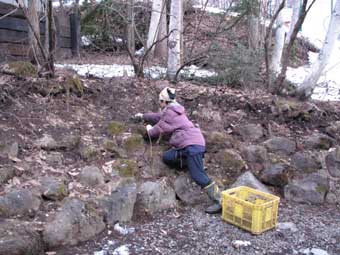f0086827_2201459.jpg