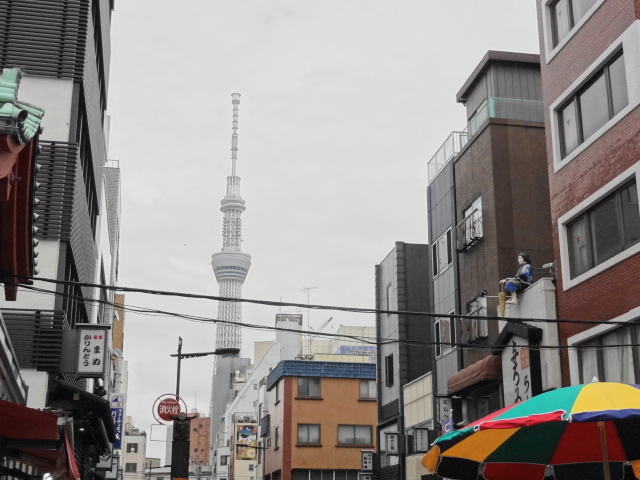 スカイツリー、泣き相撲、奥山座、雲助蔵出し、芭蕉の句、浅草いろいろ日記_e0016828_8554824.jpg