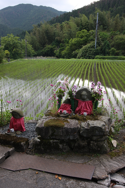 新緑の大原 －夕暮れの宝泉院－_b0169330_1820204.jpg