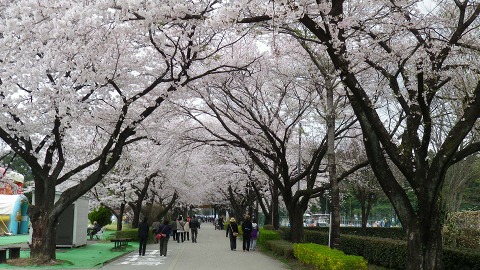 e0202031_23205892.jpg