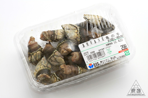 231 松江市 亀の手を食らう 眼遊記 231 松江市 亀の手を食らう 眼遊記