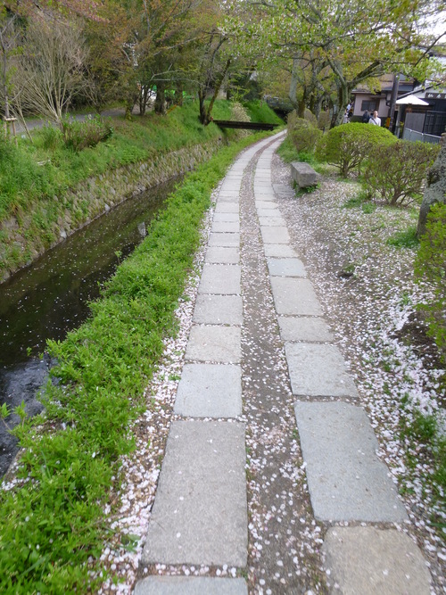 c0113733_8433733.jpg