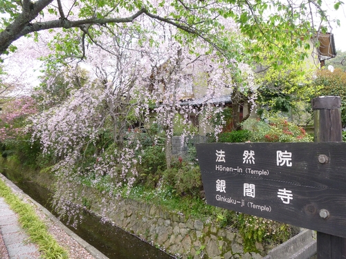 c0113733_847734.jpg