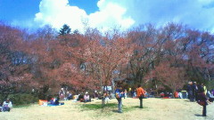 お花見☆2_c0149633_21301066.jpg
