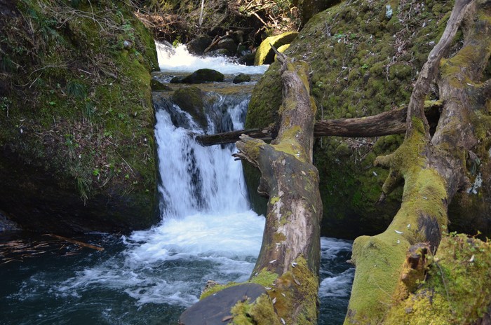 c0202242_7541043.jpg