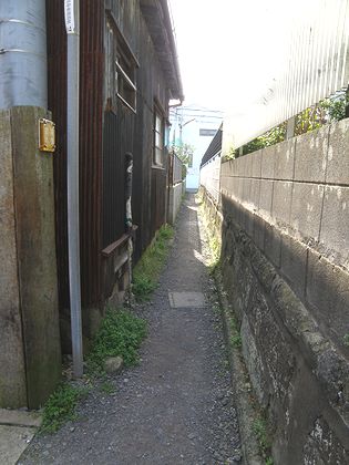 d0101042_10335677.jpg