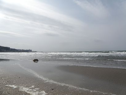 d0101042_10504993.jpg