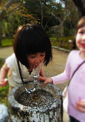 植物園へ。_d0227246_17533181.jpg