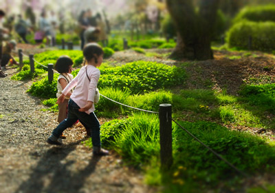 植物園へ。_d0227246_17534780.jpg