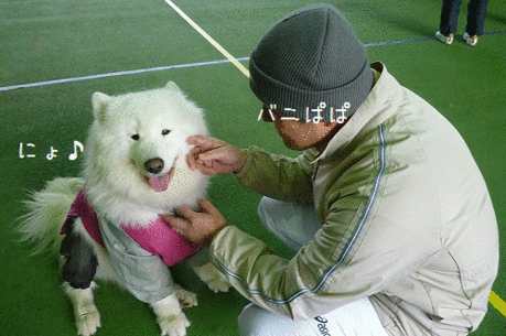 a0166954_0533379.gif