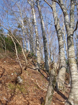 c0097754_163526.jpg