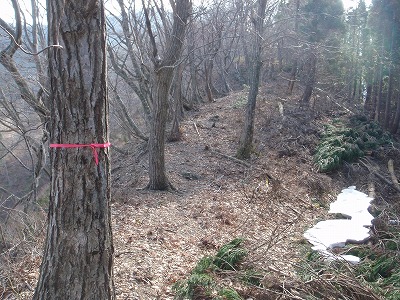 c0097754_16364058.jpg
