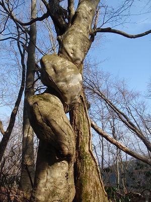 c0097754_1636481.jpg