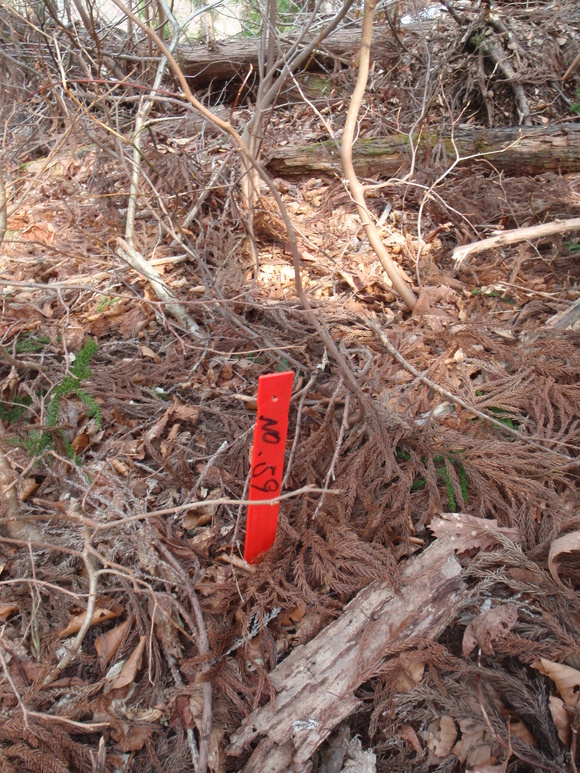 c0097754_1645858.jpg