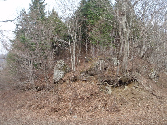 c0097754_16485080.jpg