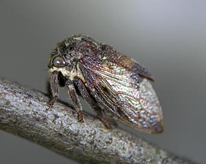 e0035757_23192791.jpg