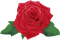 e0129862_16325910.gif