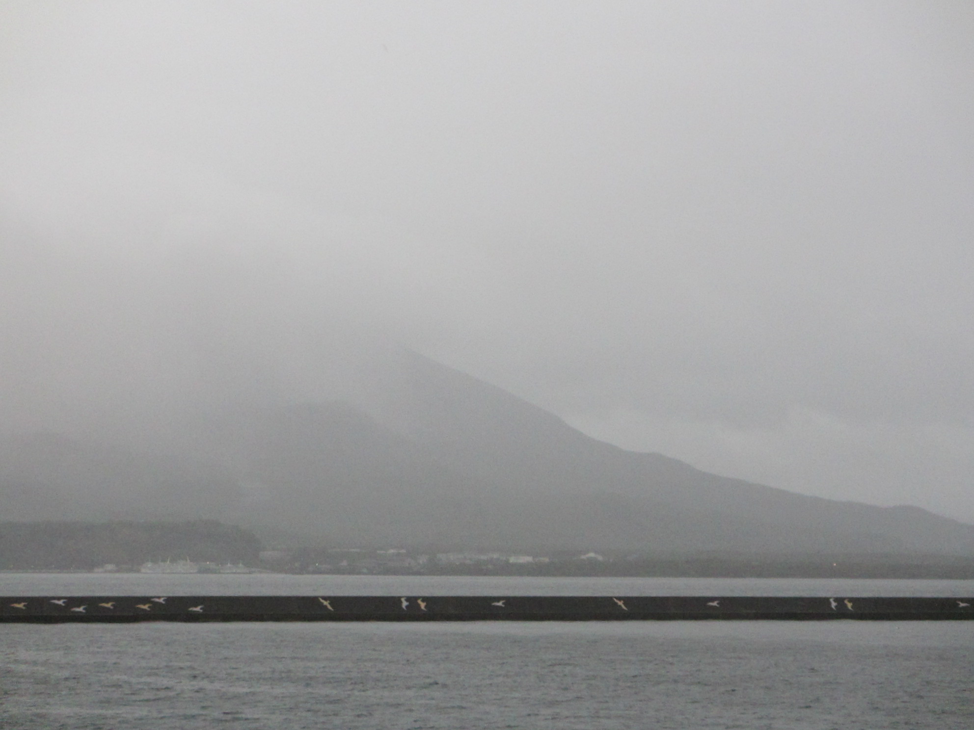 鹿児島帰郷レポート 桜島へ渡る_d0202264_2213256.jpg