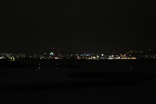 鹿児島帰郷レポート 桜島へ渡る_d0202264_22181060.jpg