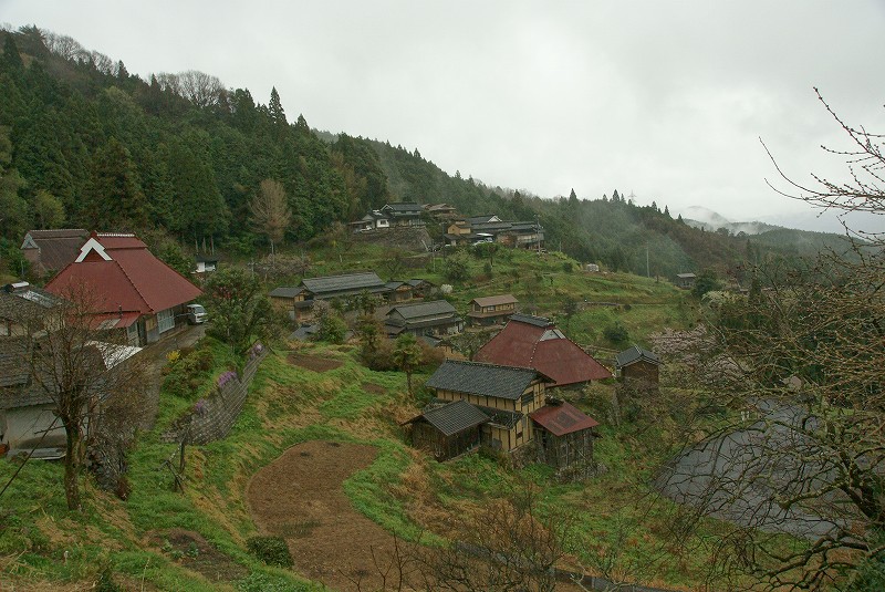 b0198768_17542876.jpg