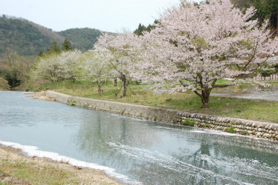 小松市 布橋 十二ヶ滝_a0184872_23124355.jpg