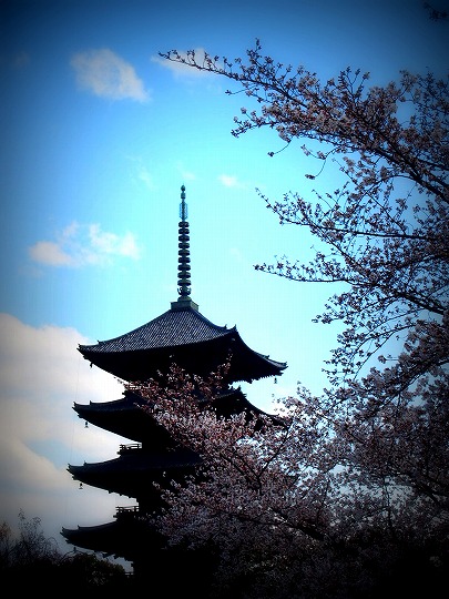 教王護国寺（東寺）　（京都・南区）_f0234172_1352659.jpg