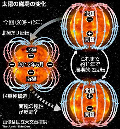 「桜吹雪のサラ」 国民を騙せ + 戦場に賭ける橋下 たんぽぽ日記_c0139575_0494014.jpg